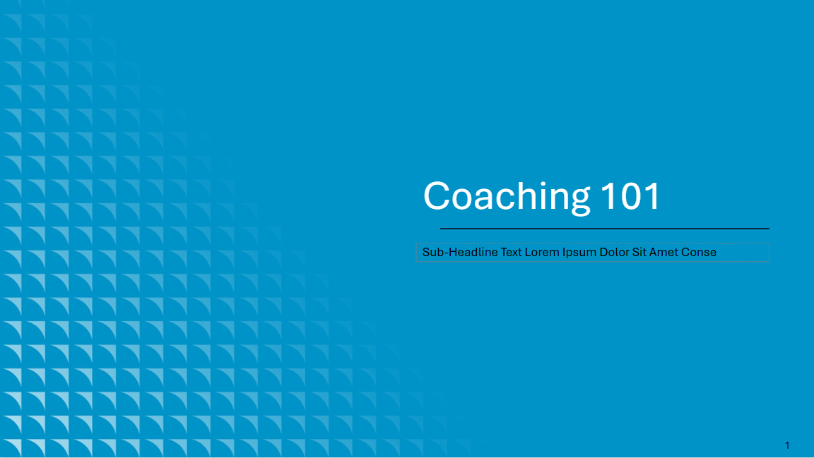 Leadership Series Coaching 101